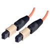 MPO w/o pins to MPO w/o pins, 12 Fiber Ribbon, OM1 62.5/125 Multimode, OFNR Jacket, Orange, 10.0m的图片